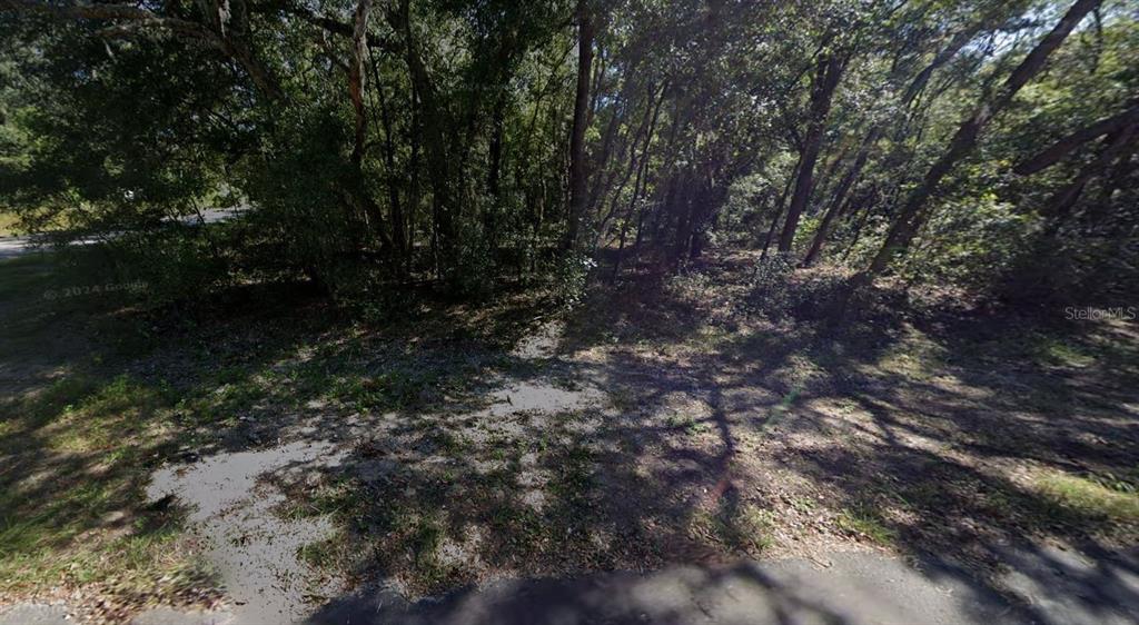 A wooded, undeveloped residential lot with scattered trees and patches of dirt and grass — 00 ANNETTE AVENUE, INTERLACHEN, FL