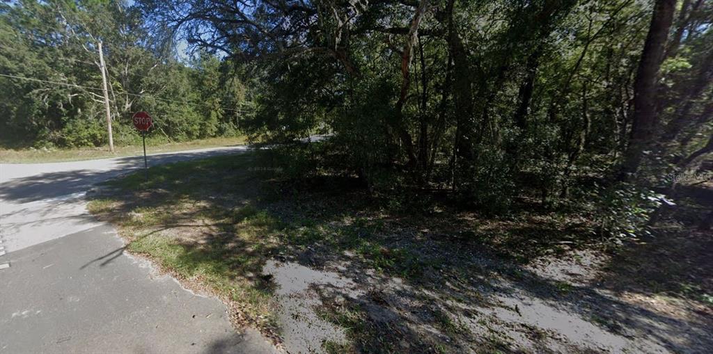 A paved road intersection with a stop sign borders a wooded, undeveloped lot — 00 ANNETTE AVENUE, INTERLACHEN, FL