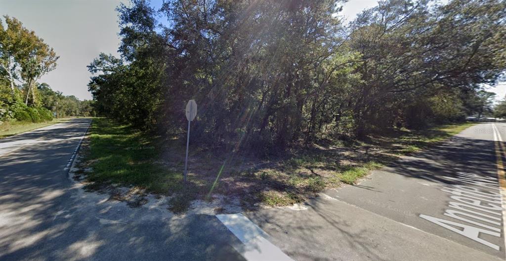 A stop sign stands at the corner of a wooded lot at a road intersection — 00 ANNETTE AVENUE, INTERLACHEN, FL