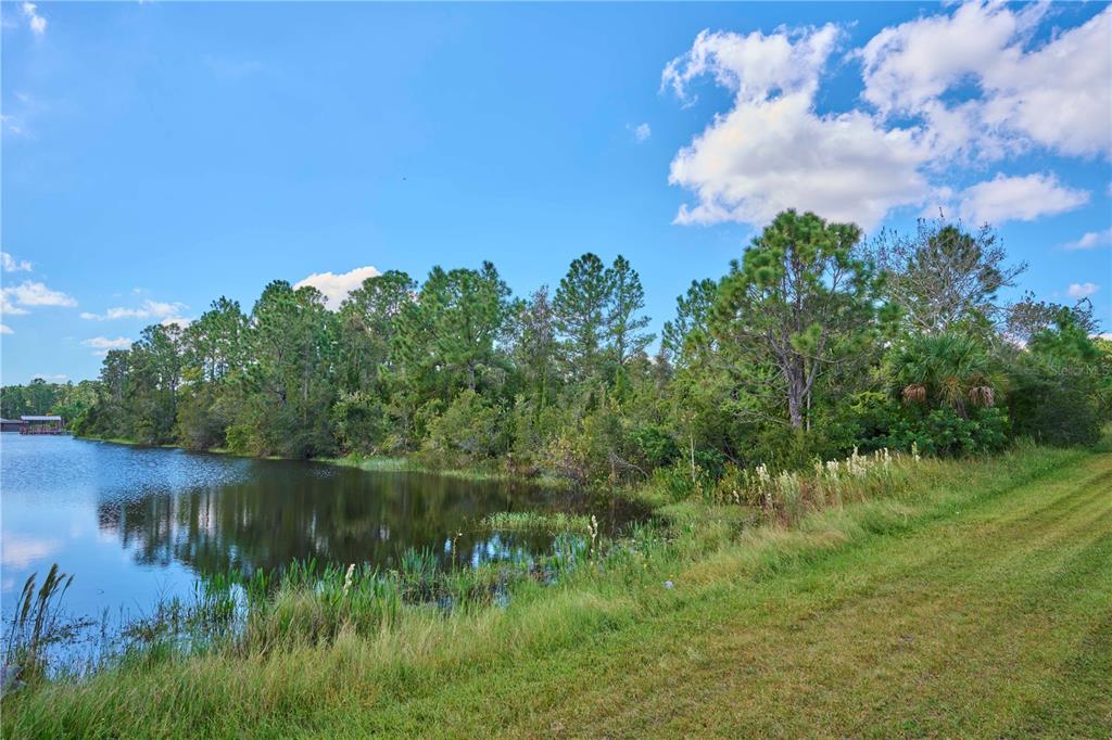 A grassy bank slopes down to a pond bordered by a dense line of trees — 2 AMARYLLIS DRIVE, INDIAN LAKE ESTATES, FL