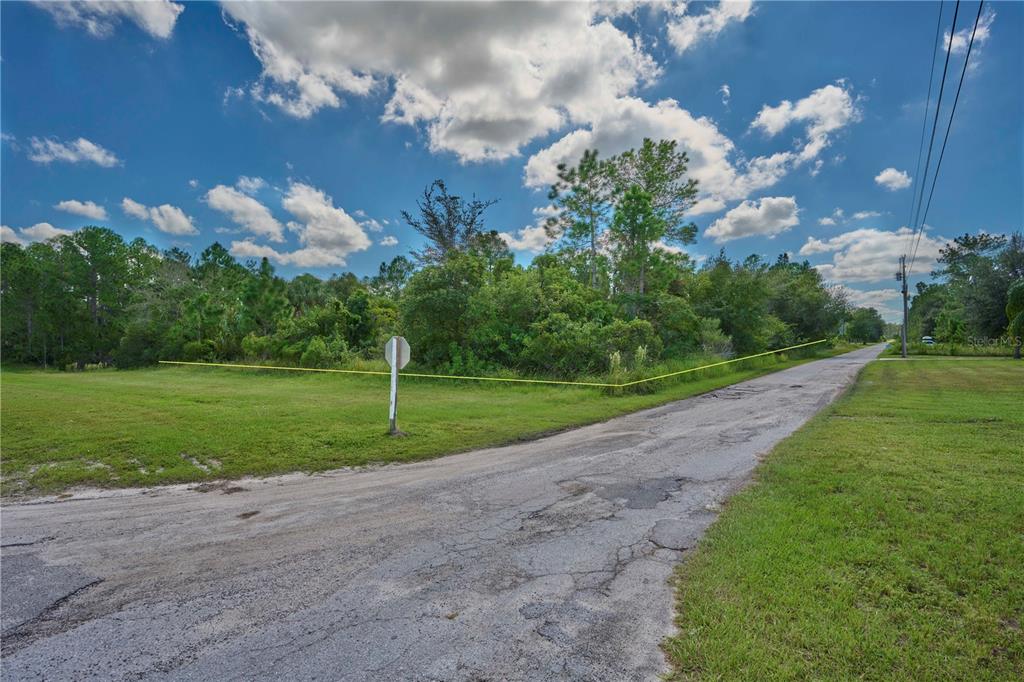 A grassy, wooded vacant lot sits adjacent to a paved road under a cloudy sky — 2 AMARYLLIS DRIVE, INDIAN LAKE ESTATES, FL