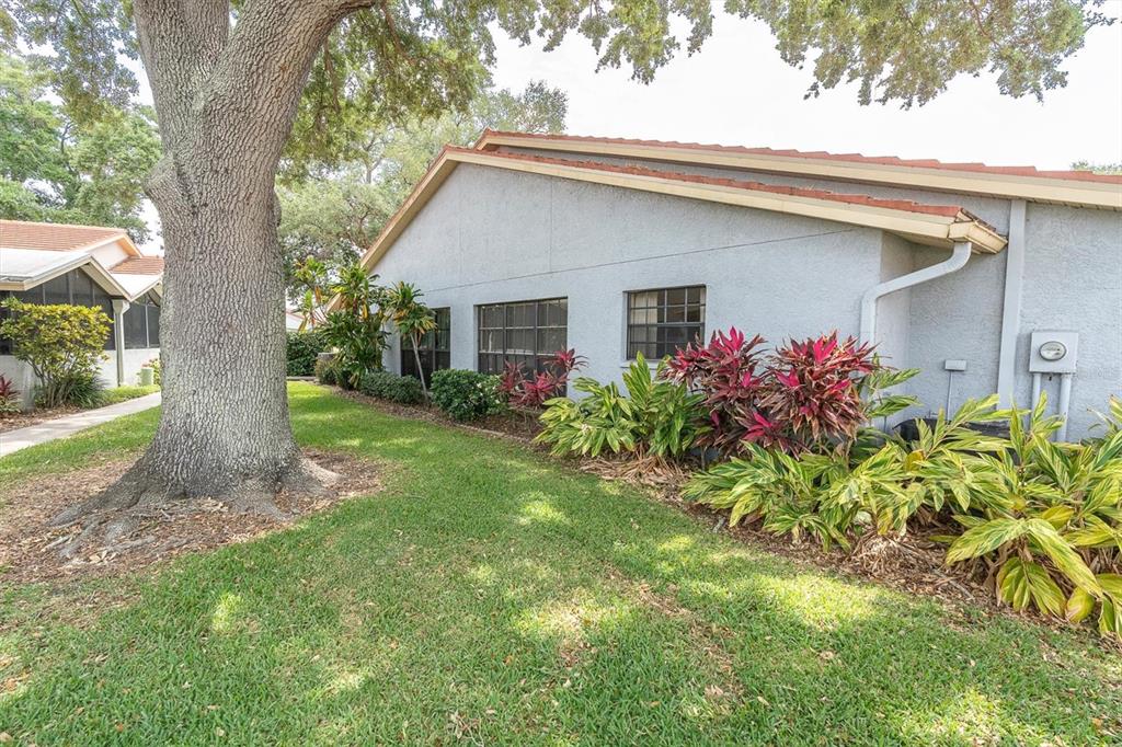 The exterior of a light-colored house features a large tree, landscaping, and a tiled roof — 2023 NASH DRIVE, CLEARWATER, FL