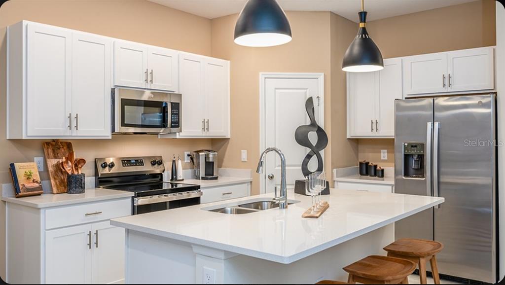 703 PERTH DRIVE, MOUNT DORA, FL — photo 4 of 17