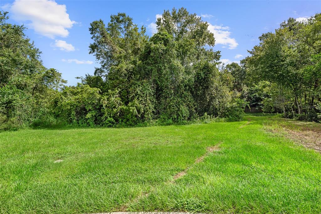 A grassy, vacant lot is bordered by dense trees under a blue sky — 1082 YAUPON STREET, DAYTONA BEACH, FL