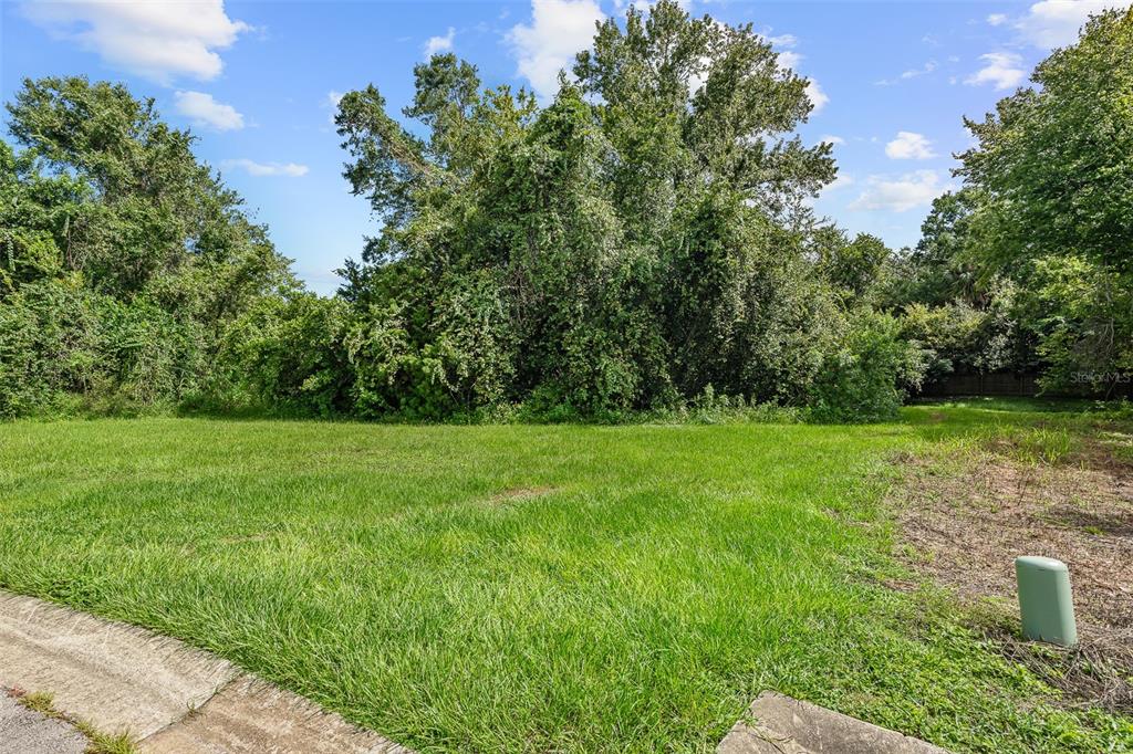 A grassy, vacant residential lot is bordered by dense trees under a blue sky — 1082 YAUPON STREET, DAYTONA BEACH, FL