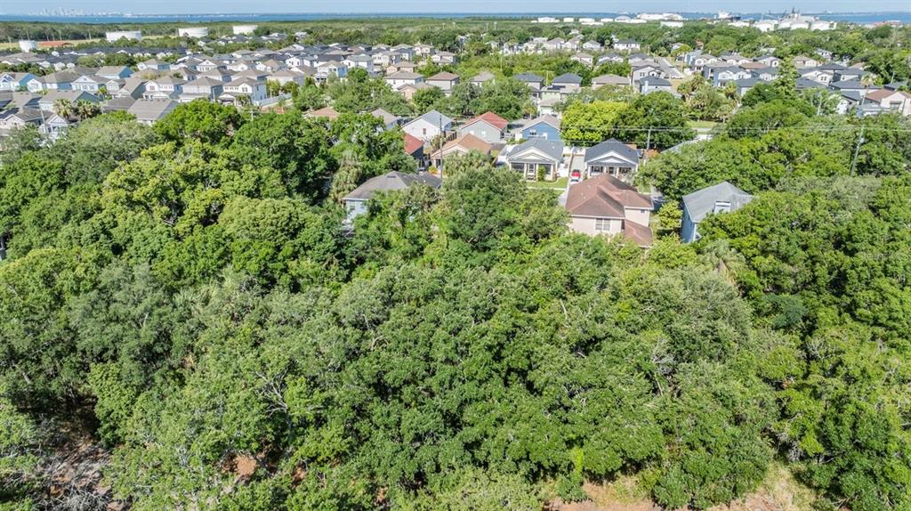 An aerial view shows a densely wooded lot situated in front of a suburban neighborhood — PORT TAMPA, TAMPA, FL