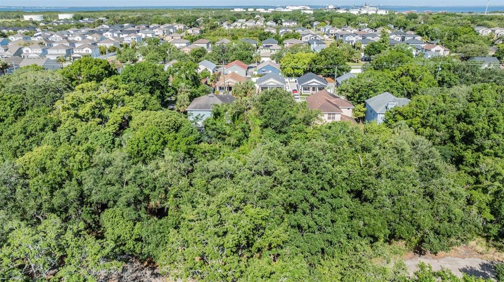 An aerial view shows a wooded lot surrounded by residential houses near a body of water — PORT TAMPA, TAMPA, FL