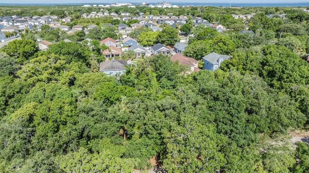 An aerial view shows a densely wooded lot situated in front of a residential neighborhood — PORT TAMPA, TAMPA, FL