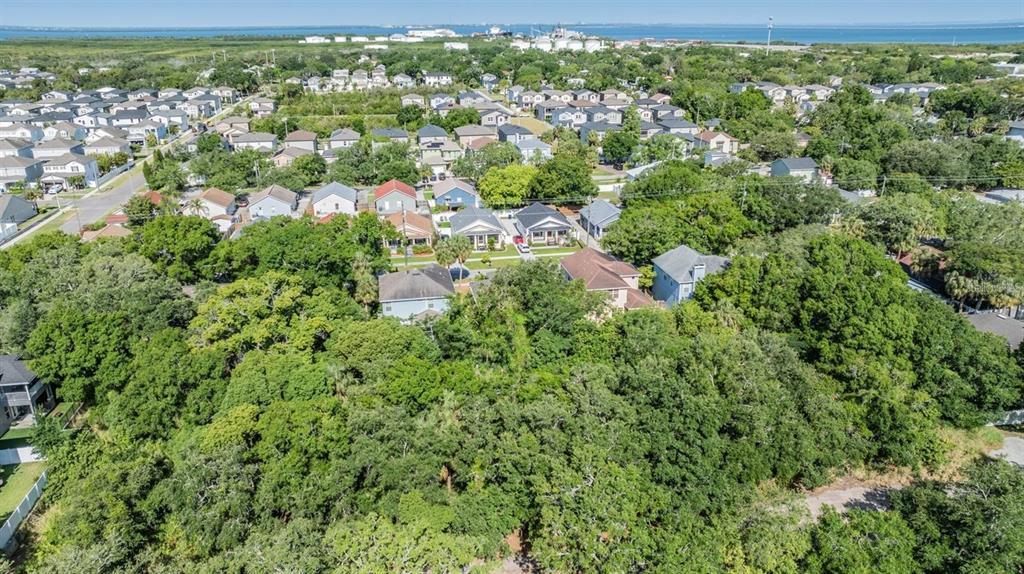 An aerial view shows a residential neighborhood with houses surrounded by dense trees and greenery — PORT TAMPA, TAMPA, FL