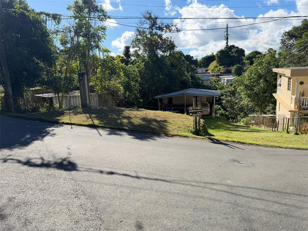 A grassy sloped lot with a small structure and a for-sale sign beside a road — CAFARNAUM SOLAR 118, AIBONITO, PR