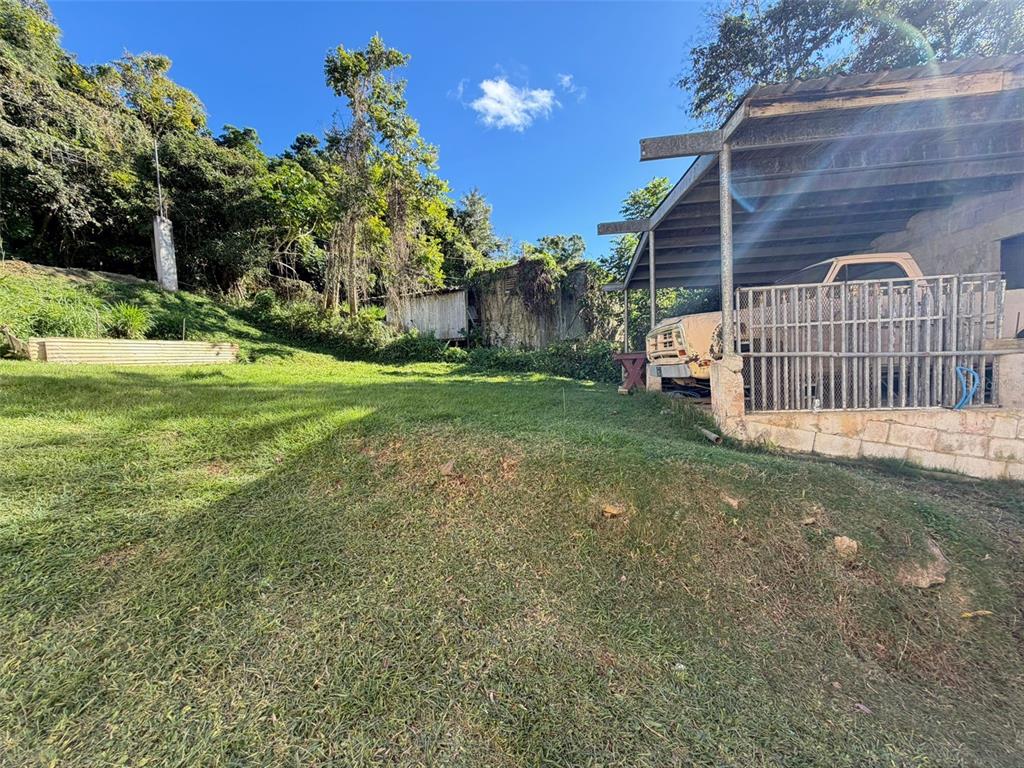 A grassy yard features a covered carport with a parked vehicle and surrounding trees — CAFARNAUM SOLAR 118, AIBONITO, PR