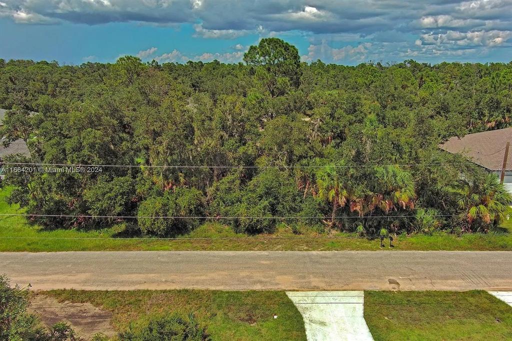 An aerial view shows a vacant, wooded lot bordered by a paved road and houses — 17124 CARLEEN AVENUE, PORT CHARLOTTE, FL