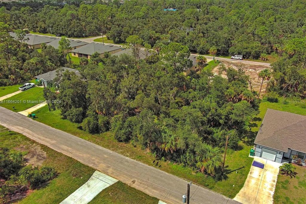 An aerial view shows a wooded vacant lot situated between several suburban residential homes — 17124 CARLEEN AVENUE, PORT CHARLOTTE, FL
