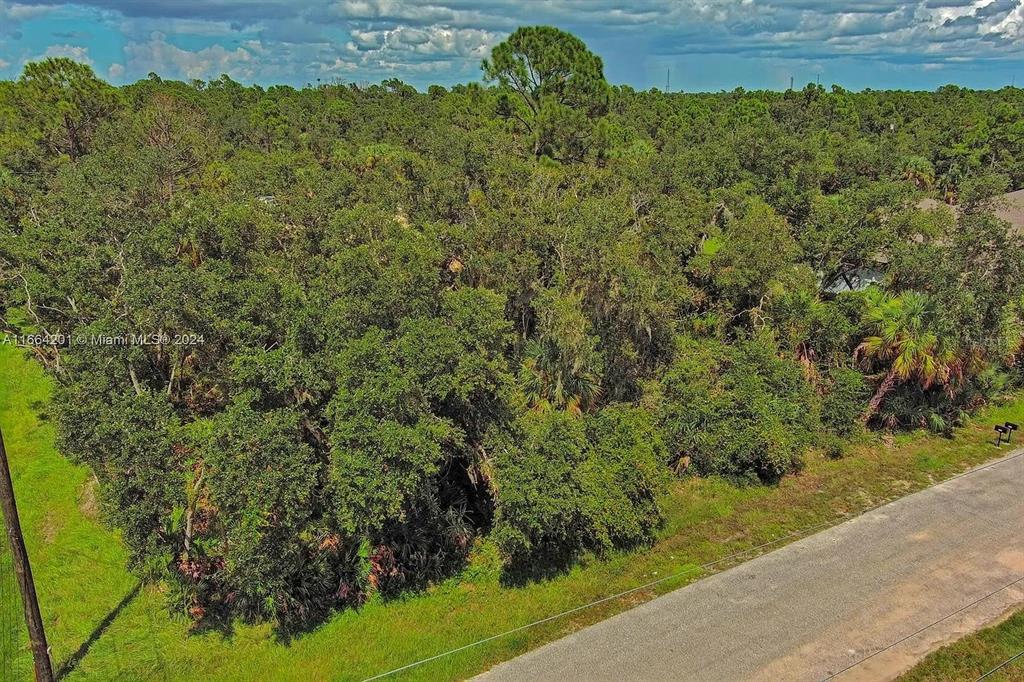 An aerial view shows a dense, wooded lot bordered by a paved road — 17124 CARLEEN AVENUE, PORT CHARLOTTE, FL