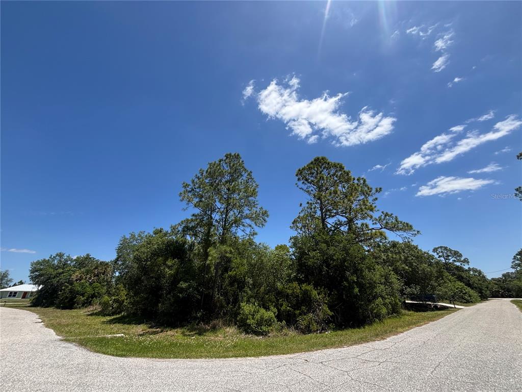 A vacant, tree-covered corner lot sits between two paved residential streets under a blue sky — Lot #3 TOWHLEN ROAD, NORTH PORT, FL