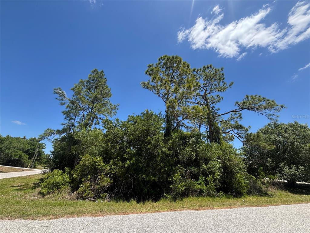 A patch of trees and dense shrubs sits beside a paved road under a blue sky — Lot #3 TOWHLEN ROAD, NORTH PORT, FL