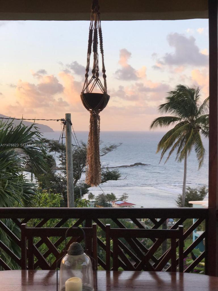 A view of the ocean and palm trees from a balcony with a hanging planter — 0 CALIBISHE, DOMINICA, 00000, FL