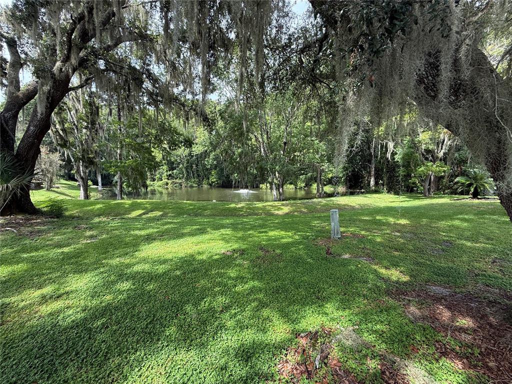 A grassy backyard features large oak trees with Spanish moss overlooking a small pond — 802 ROBIN LANE, WILDWOOD, FL