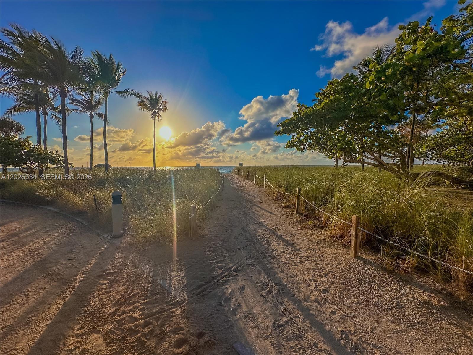 A sandy path leads through beach grass toward the ocean under a sunny sky — 9801 Collins Ave # 6P, Bal Harbour FL 33154, BAL HARBOUR, FL