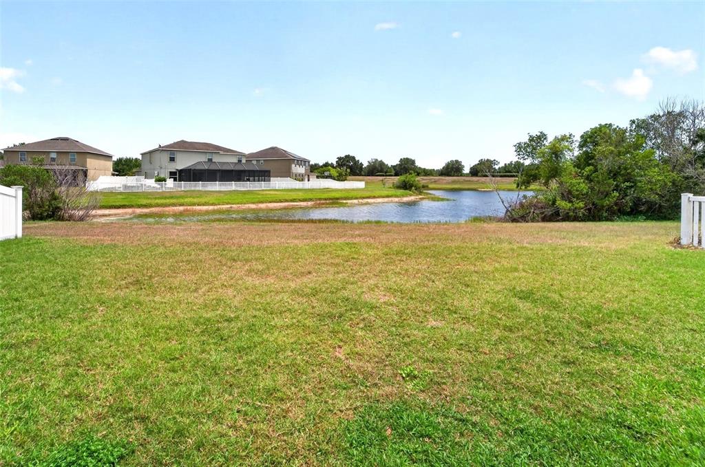 A grassy backyard overlooks a small pond with residential houses in the background — 13128 ROYAL PINES AVENUE, RIVERVIEW, FL