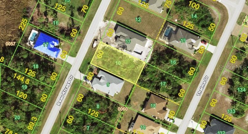 This is a satellite map view showing a vacant residential lot highlighted in yellow — 119 BEAU RIVAGE DRIVE, ROTONDA WEST, FL