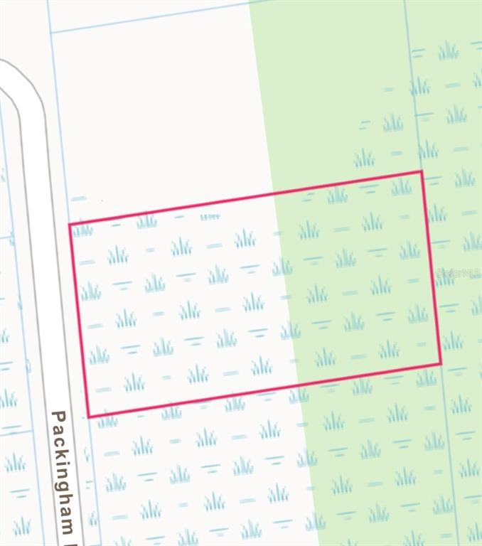 This is a map showing a rectangular parcel of land outlined in red — PACKINGHAM DR, LOT 10, WEBSTER, FL