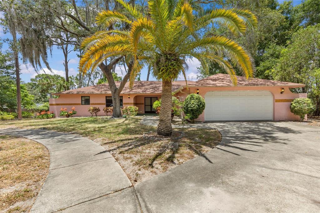 A single-story pink house with a two-car garage and a palm tree in the yard — 505 VILLAGE OAK DRIVE, TARPON SPRINGS, FL