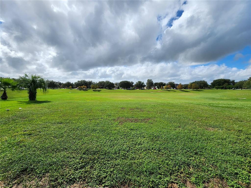 A wide, grassy field under a cloudy sky with trees in the distance — 4740 SW 41ST STREET, OCALA, FL