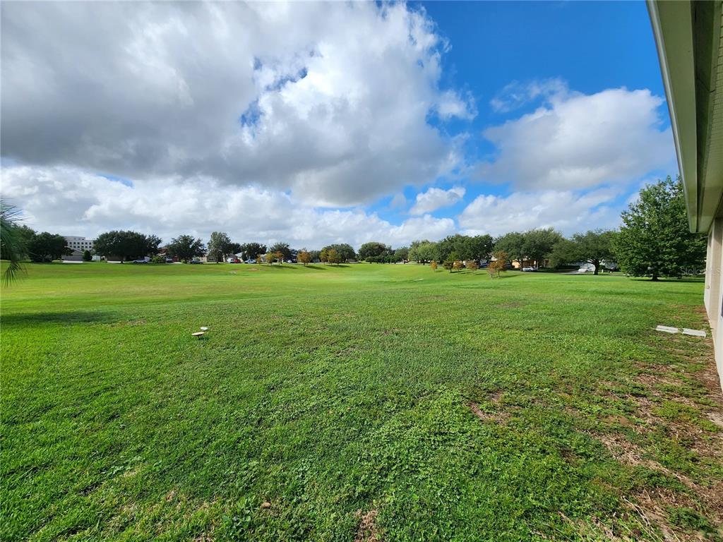 A wide, grassy backyard view with trees and a cloudy blue sky — 4740 SW 41ST STREET, OCALA, FL