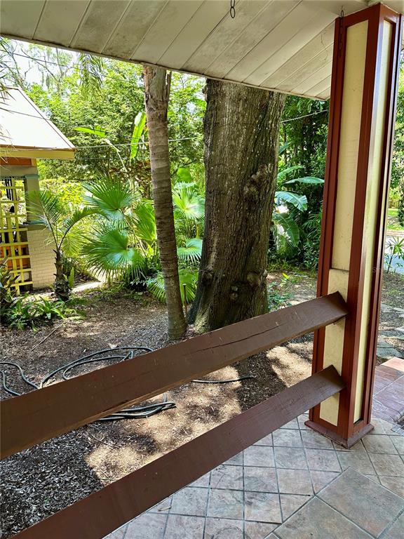 A view from a covered porch looking out toward a large tree and tropical plants — 1209 E COMANCHE AVENUE, TAMPA, FL