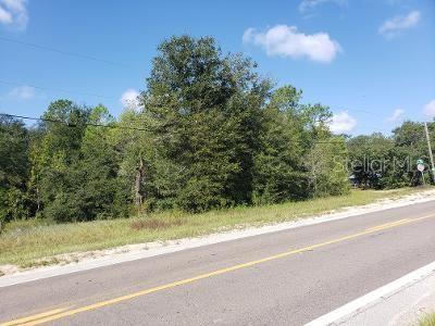 341 S COUNTY ROAD 315, INTERLACHEN, FL — photo 3 of 7