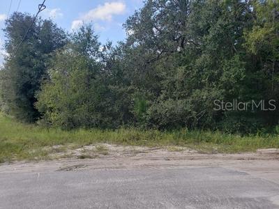 341 S COUNTY ROAD 315, INTERLACHEN, FL — photo 4 of 7