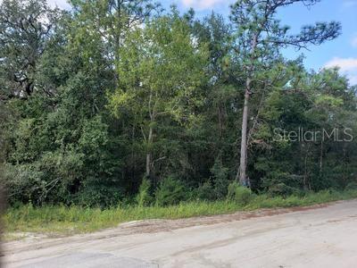 341 S COUNTY ROAD 315, INTERLACHEN, FL — photo 5 of 7