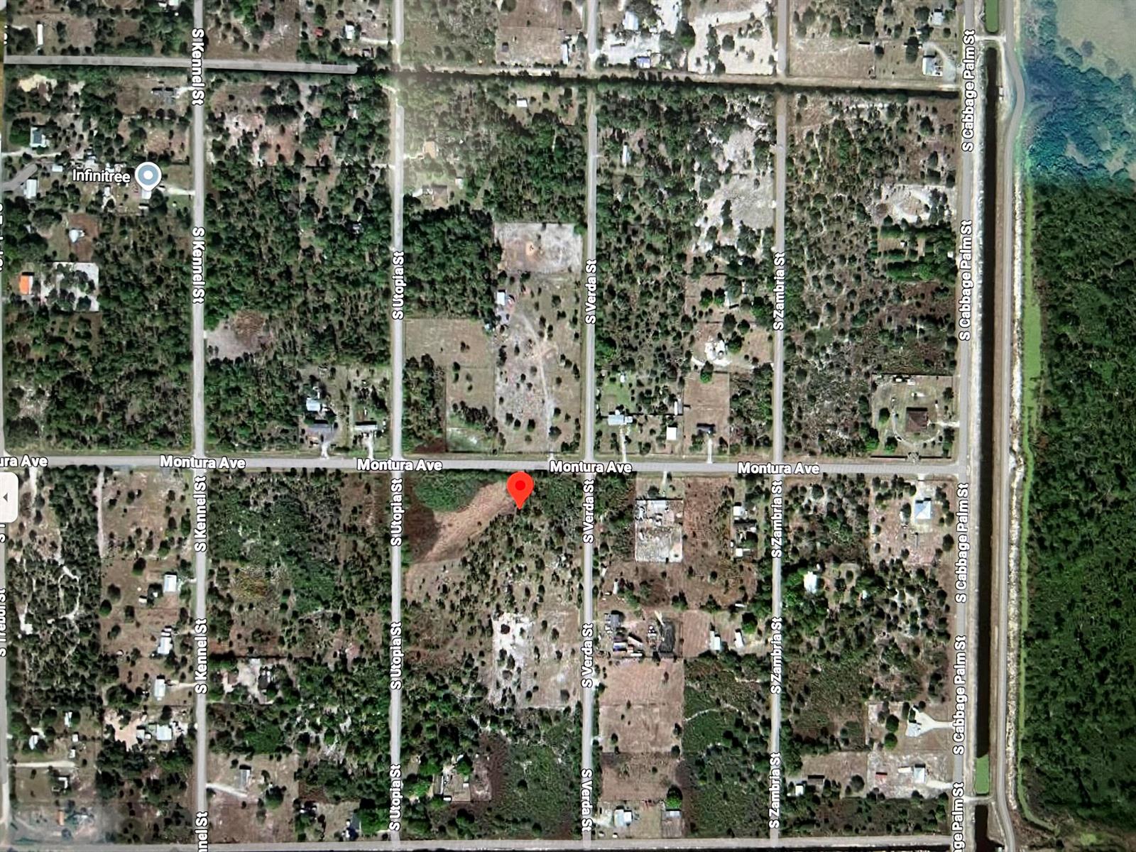 This is a satellite map view of a residential area with intersecting streets and vegetation — 636 Montura Avenue, Clewiston FL 33440, CLEWISTON, FL