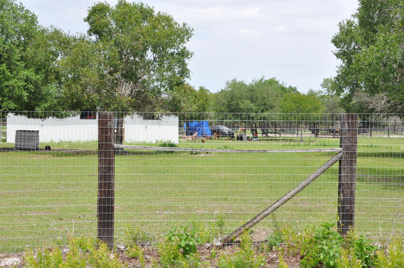 A wire fence encloses a grassy yard with trees, a white building, and a blue tarp — 636 Montura Avenue, Clewiston FL 33440, CLEWISTON, FL