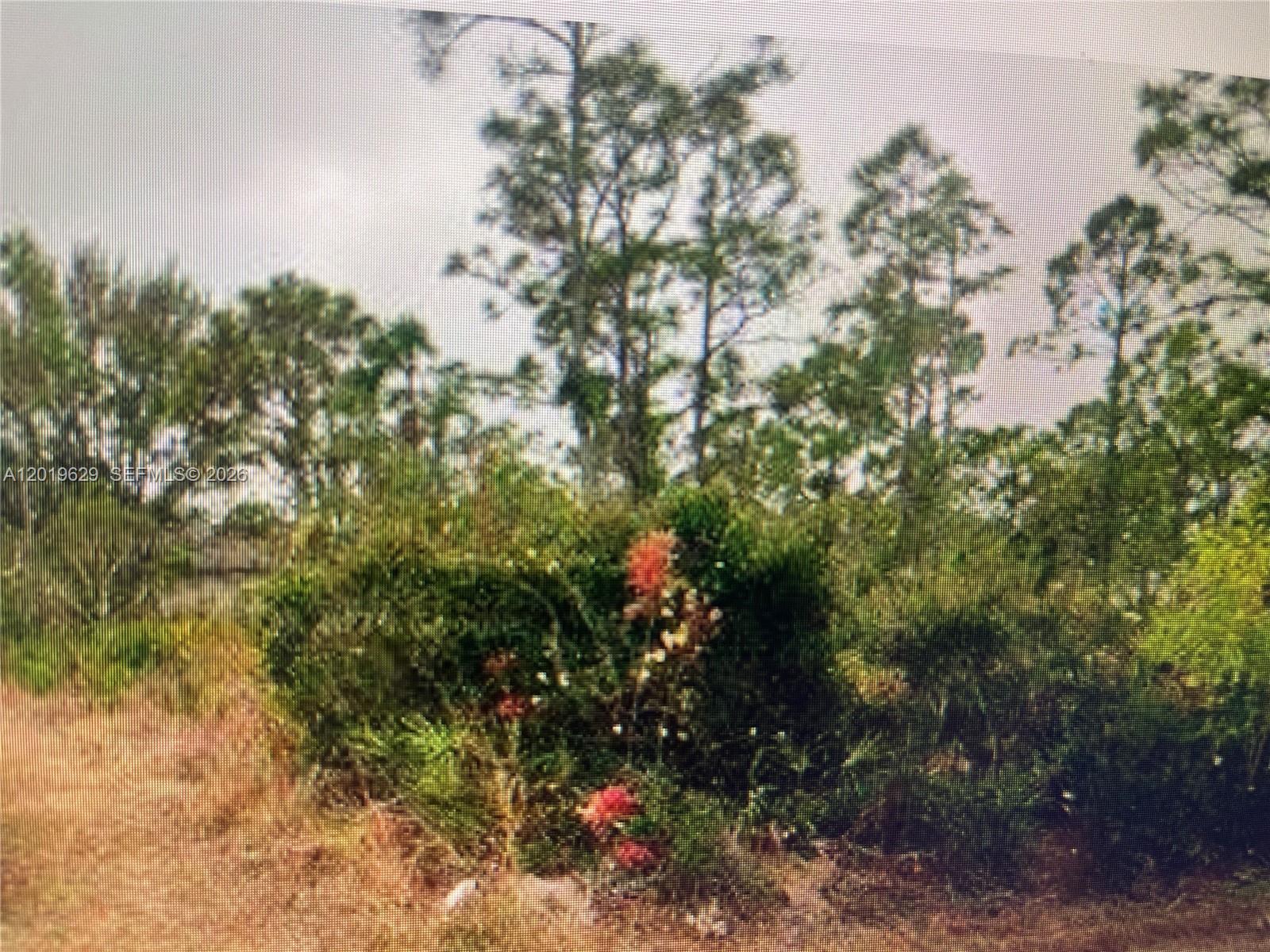 27183 N TWIN LAKES DR, Punta Gorda FL 33955