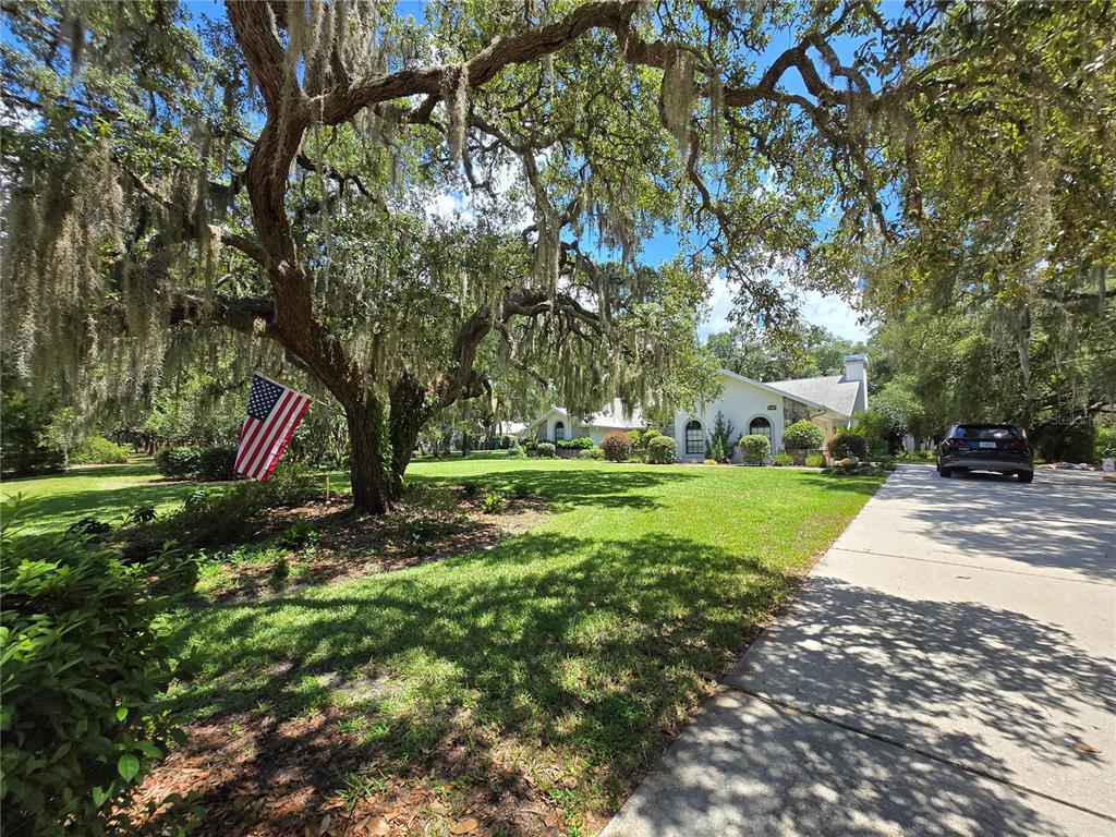 A single-story house with a white exterior sits behind a large oak tree with moss — 244 W MASSACHUSETTS STREET, HERNANDO, FL