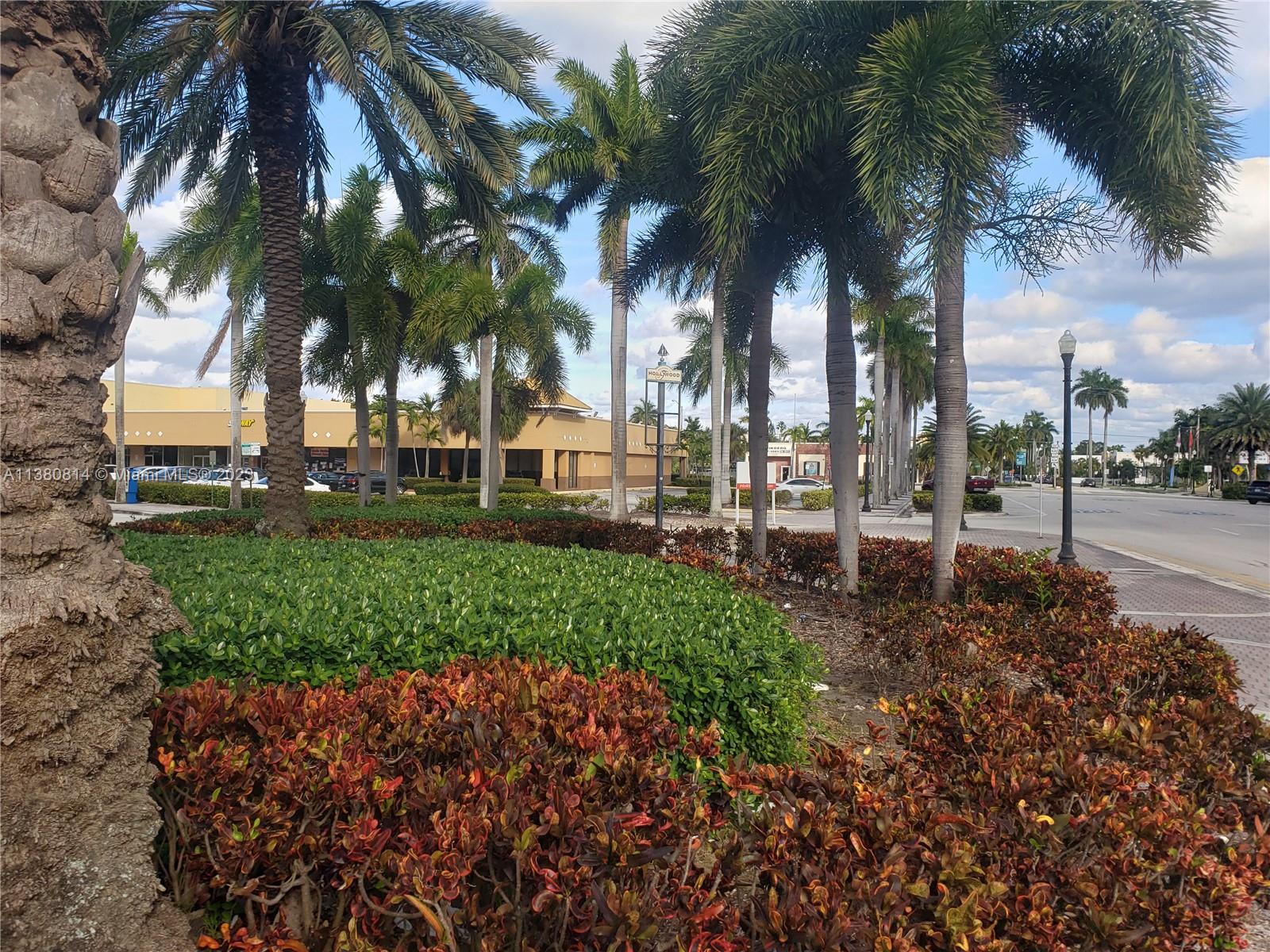 A row of palm trees stands along a sidewalk next to a commercial building — 1720 Harrison St # 12D, Hollywood FL 33020, HOLLYWOOD, FL
