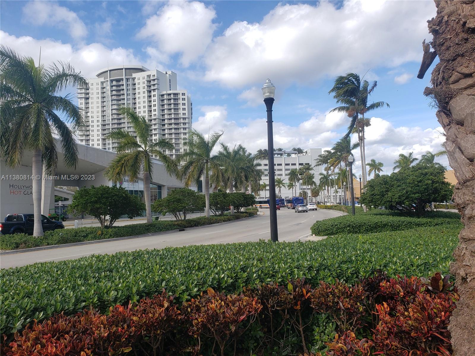 A street scene features palm trees, a tall apartment building, and a lamp post — 1720 Harrison St # 12D, Hollywood FL 33020, HOLLYWOOD, FL