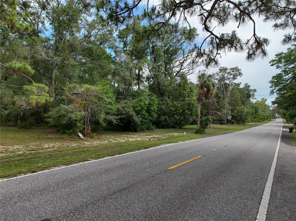 A paved road runs in front of a wooded lot with a single palm tree — 0 FORT DADE AVENUE, BROOKSVILLE, FL