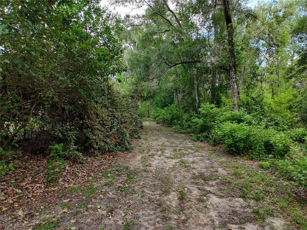 A dirt path winds through a dense, wooded area with thick green foliage and trees — 0 FORT DADE AVENUE, BROOKSVILLE, FL