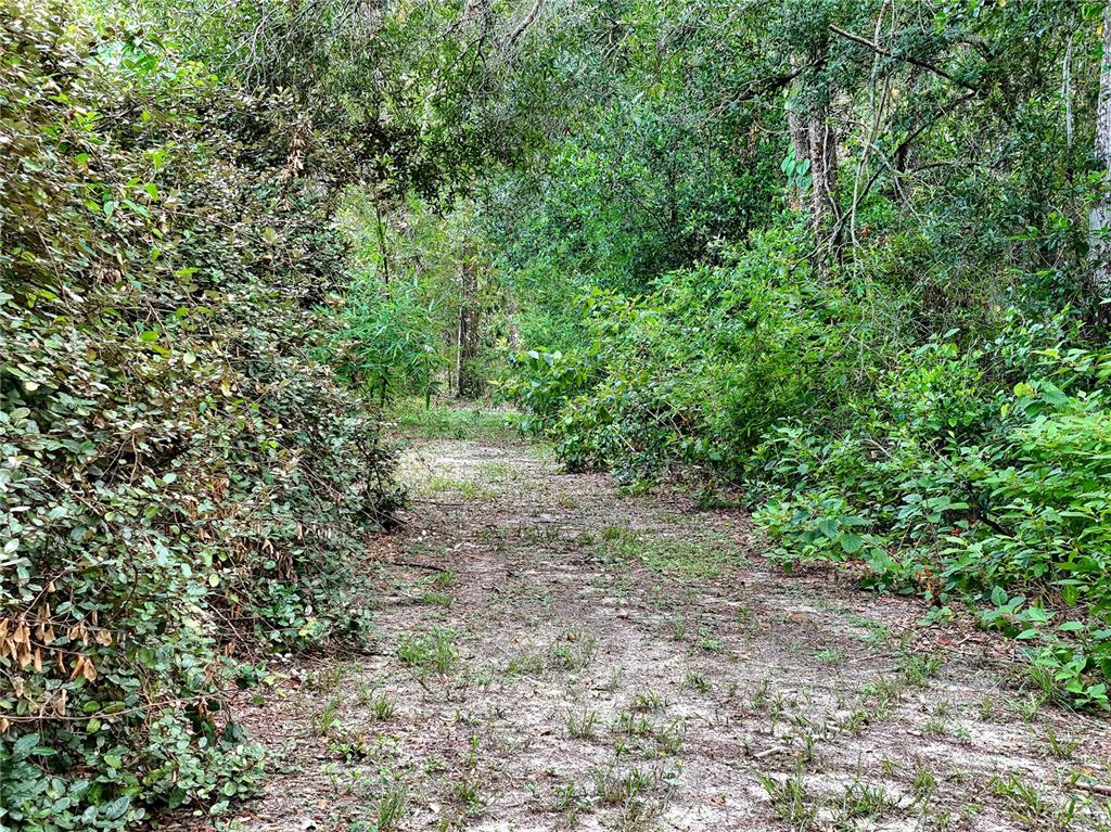 An aerial view shows a rectangular, wooded vacant lot outlined in red along a road — 0 FORT DADE AVENUE, BROOKSVILLE, FL
