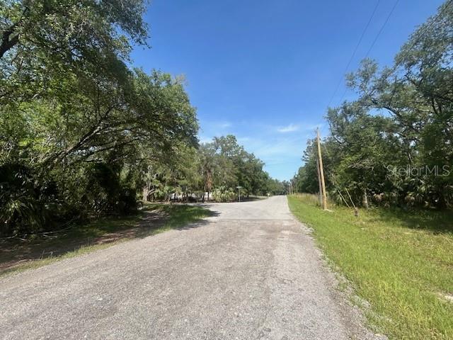 A gravel road leads toward a T-intersection surrounded by dense trees under a clear sky — 8284 W CATRINA LANE, CRYSTAL RIVER, FL
