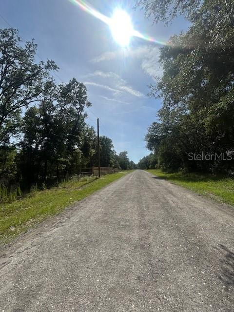 A gravel road stretches into the distance between lines of trees under a bright sun — 8284 W CATRINA LANE, CRYSTAL RIVER, FL