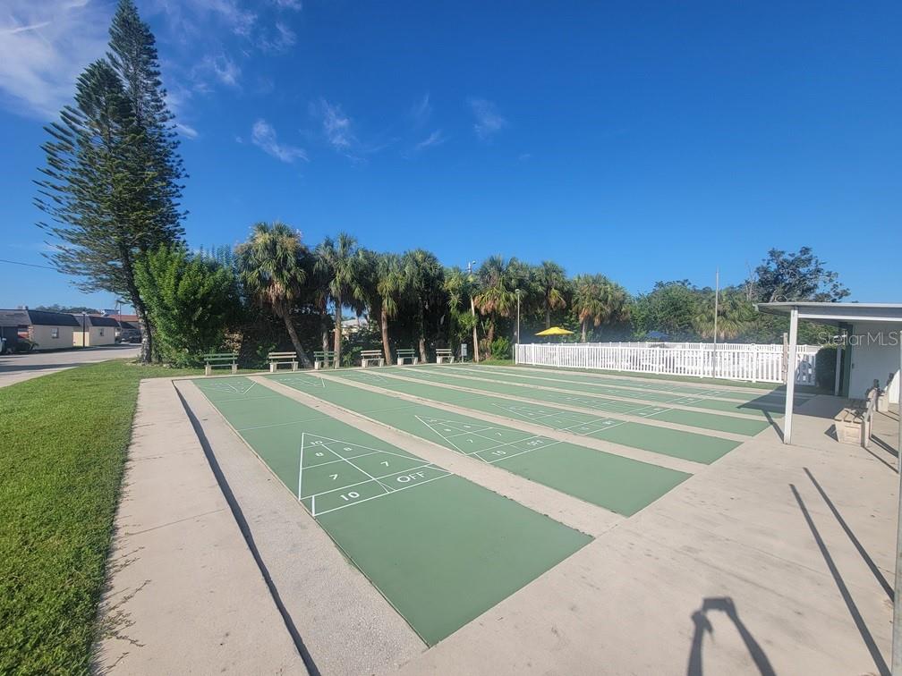 A row of outdoor shuffleboard courts sits on a concrete patio beside palm trees — 4929 FILNER STREET, NEW PORT RICHEY, FL