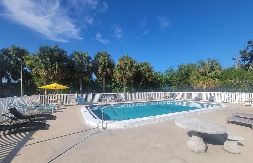 An outdoor swimming pool surrounded by a white fence, lounge chairs, and palm trees — 4929 FILNER STREET, NEW PORT RICHEY, FL