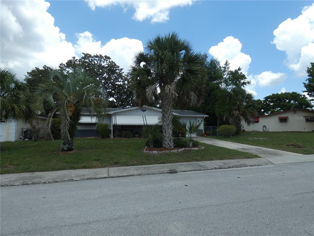 A single-story house with a palm tree in the front yard and a concrete driveway — 5248 IRONWOOD LANE, NEW PORT RICHEY, FL