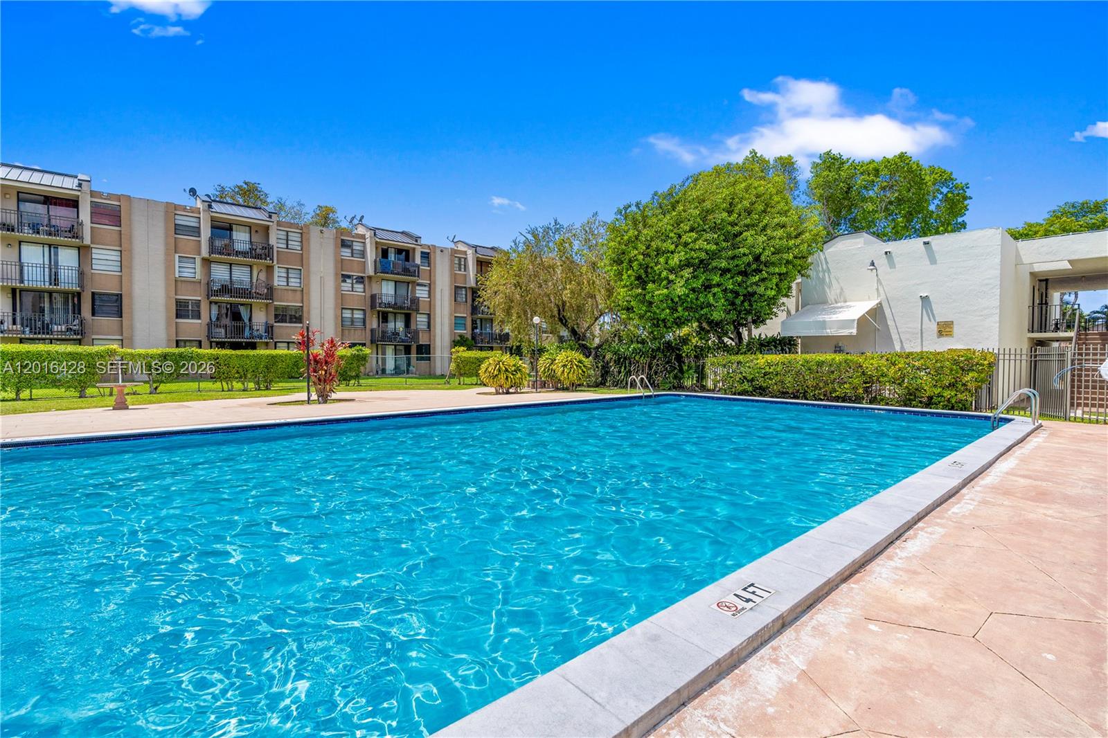 A rectangular swimming pool sits in front of a multi-story apartment building under a blue sky — 3561 SW 117th Ave # 206, Miami FL 33175, MIAMI, FL