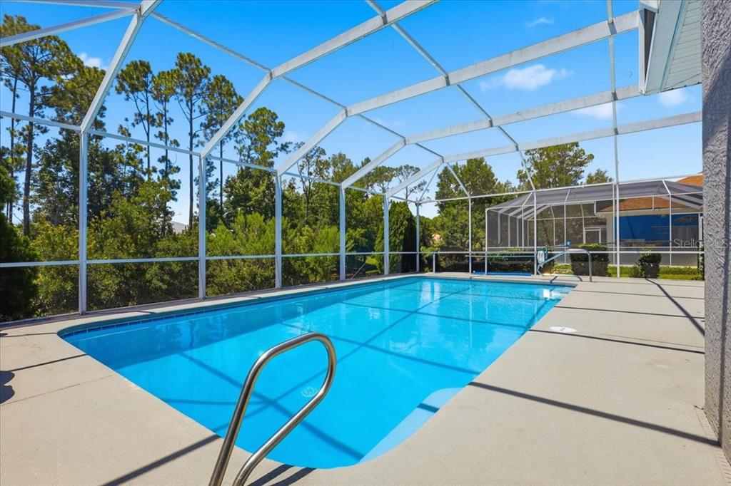 A rectangular swimming pool enclosed by a white metal screen cage in a backyard — 56 WESTBURY LANE, PALM COAST, FL