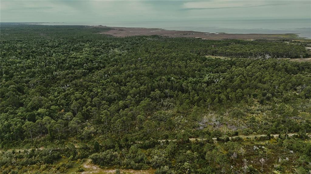 An aerial view shows a vast expanse of dense forest bordering a coastal marshland — LOTS 8,9,15 00 ADAMS BEACH ROAD, PERRY, FL